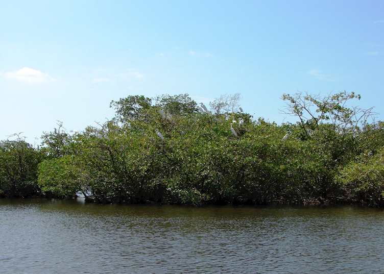 Juan Venado Island, Nicaragua