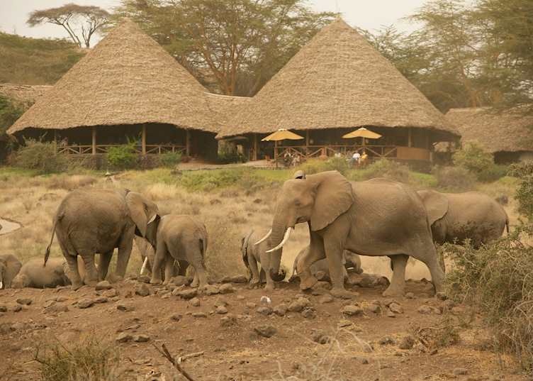 Tortilis Camp, Amboseli National Park