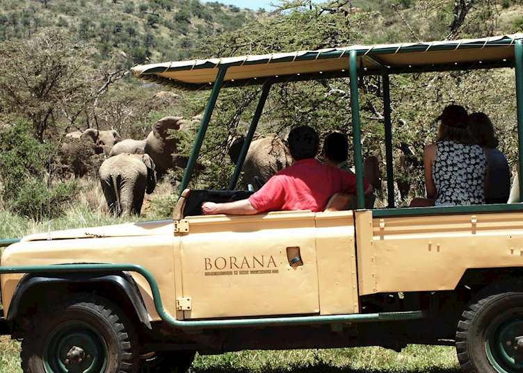 Game drive on the Borana Conservancy