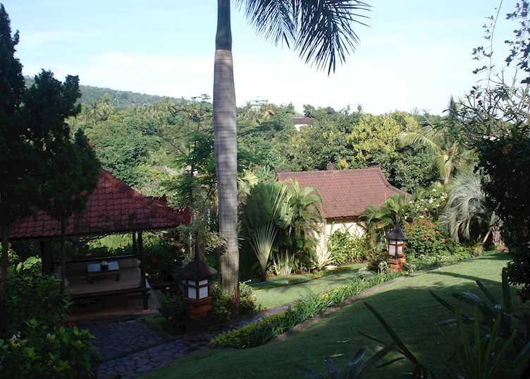 Damai Lovina, Lovina