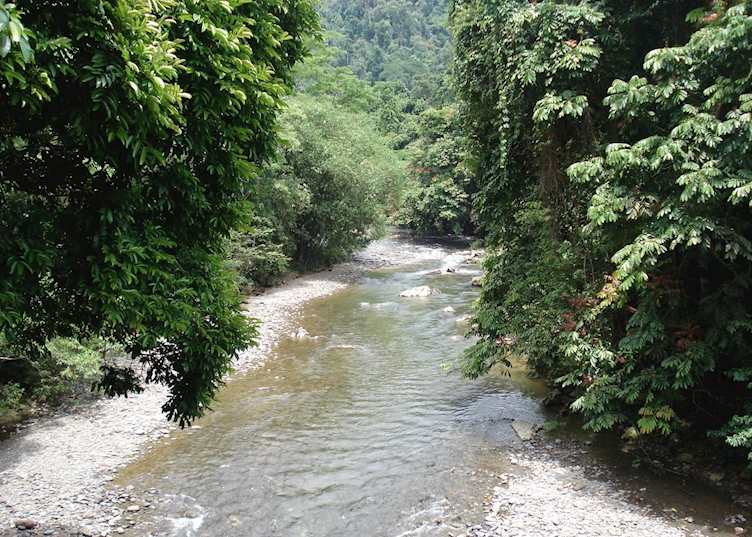 View from Jungle Lodge, Tangkahan, Indonesia