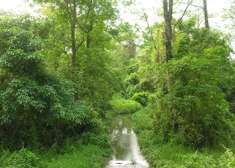 Manas National Park, India