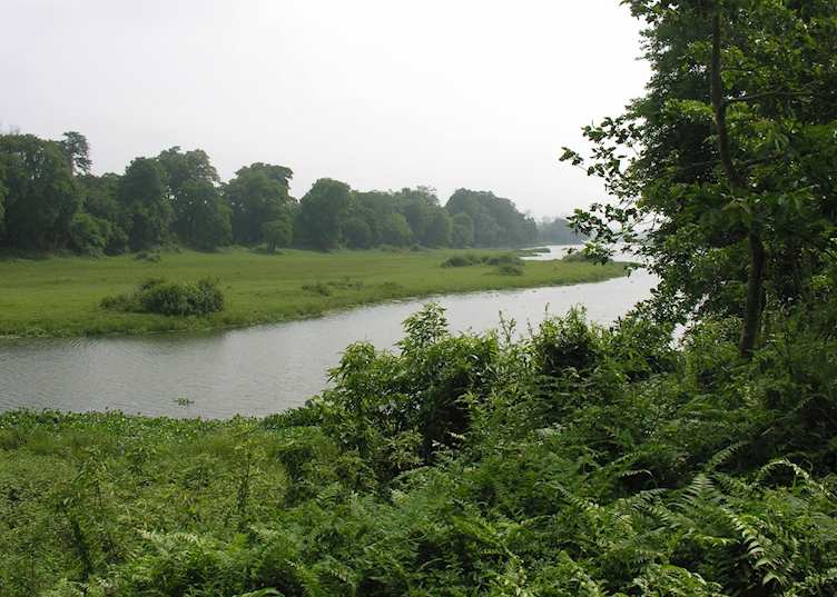 View from Diphlu River Lodge, Kaziranga National Park