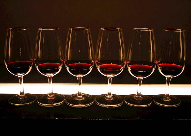Wine Tasting, Mendoza
