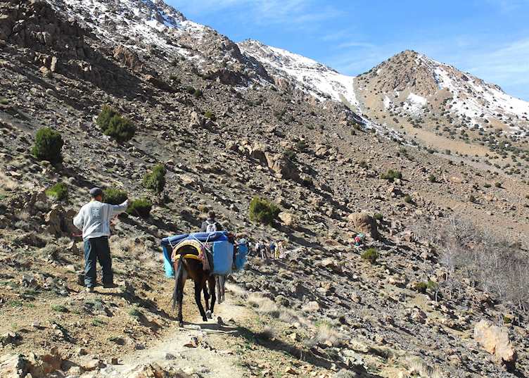 Trekking in the High Atlas Mountains