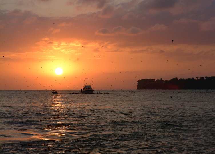 Sunrise, Livingston