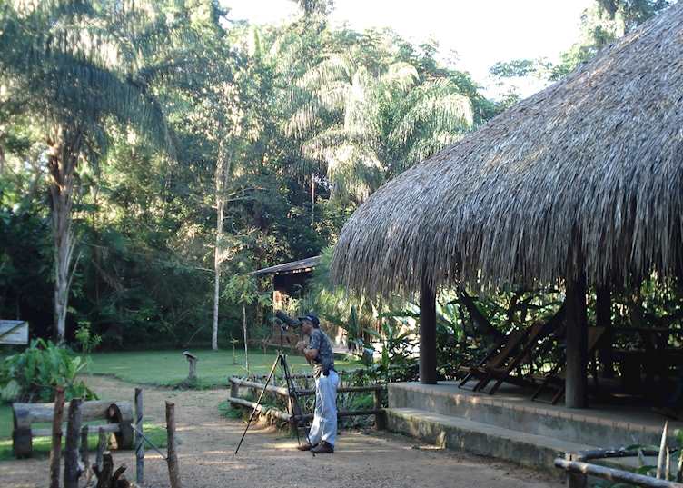 Birdwatching at the Cristalino Jungle Lodge