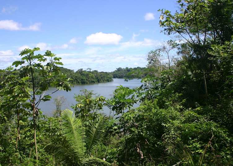 View from Sandoval Lake Lodge, Peru