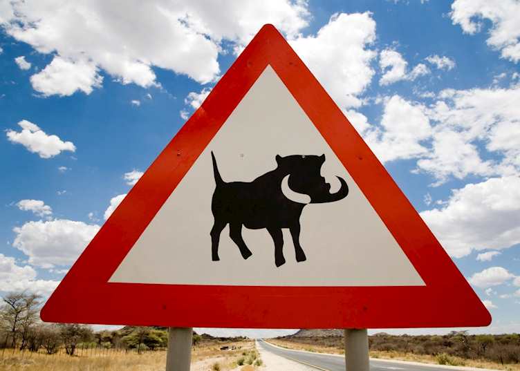 Road sign, Namibia
