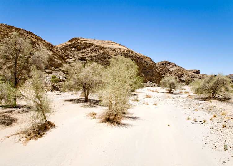 Dry riverbed, Kaokoland