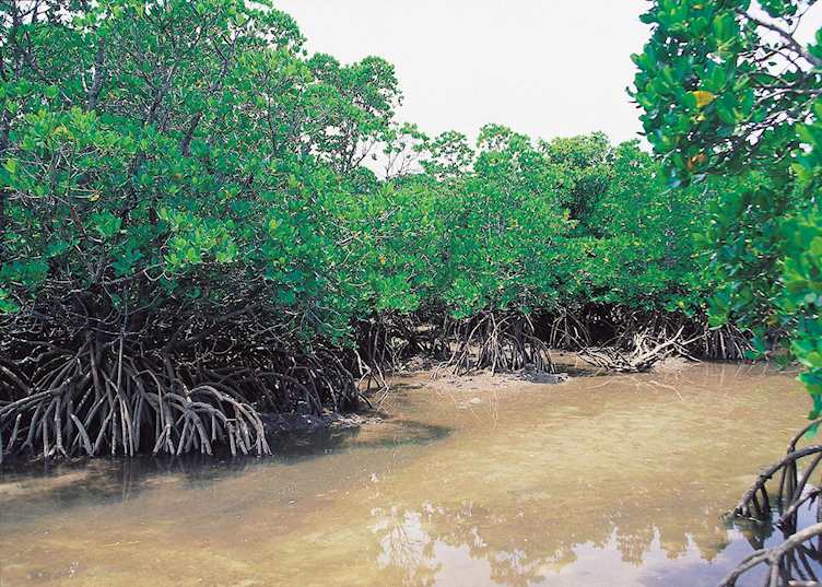 Fukido River, Ishigaki