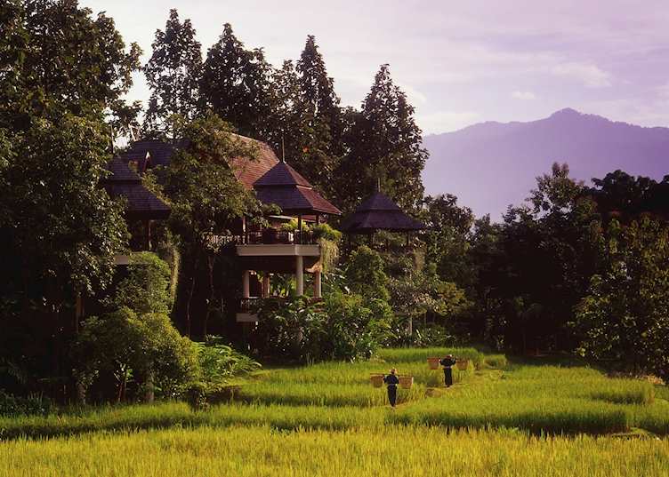 Four Seasons Resort Chiang Mai