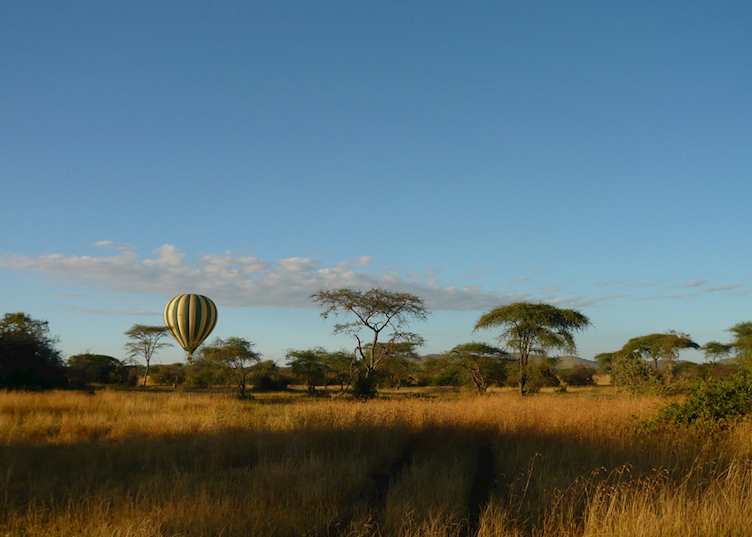 Hot Air Ballooning in the Serengeti