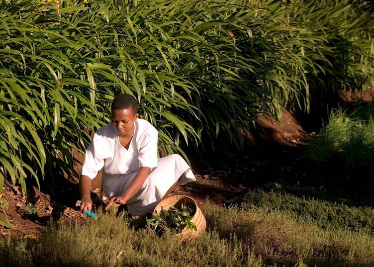 Farming near Karatu