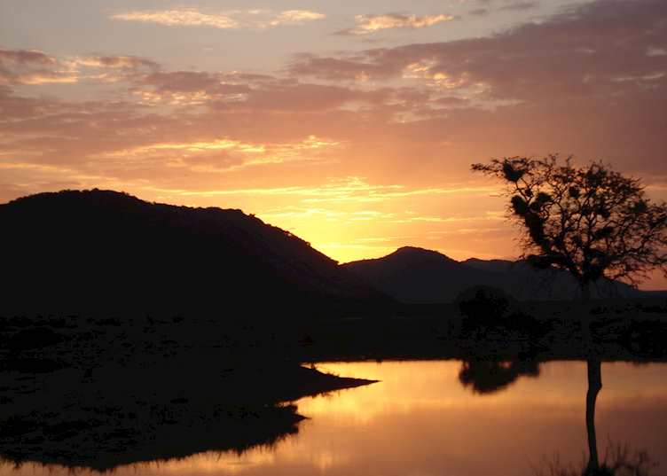 Madikwe Game Reserve, South Africa