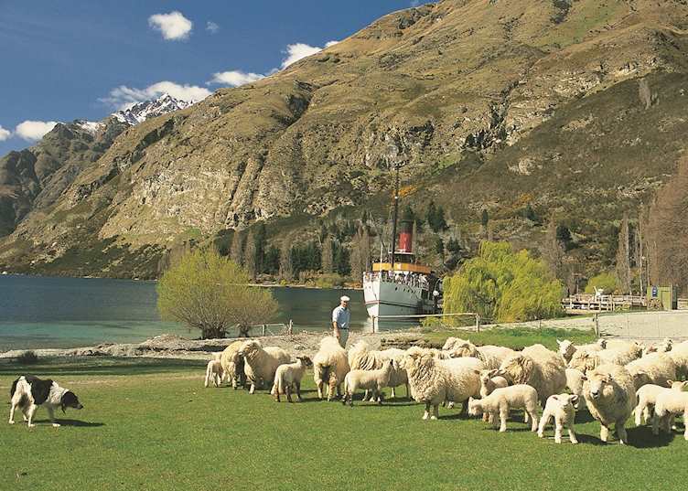 Walter Peak High Country Farm, Queenstown