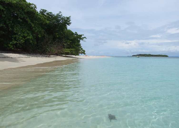 Zapatilla Cayes, Bocas del Toro