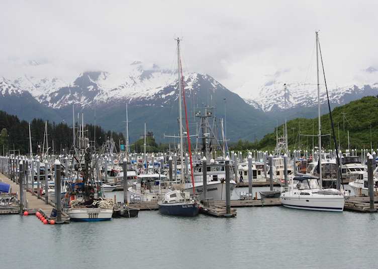 Valdez Harbor