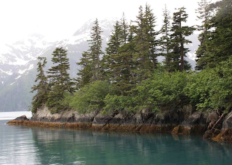 The coastline near Valdez