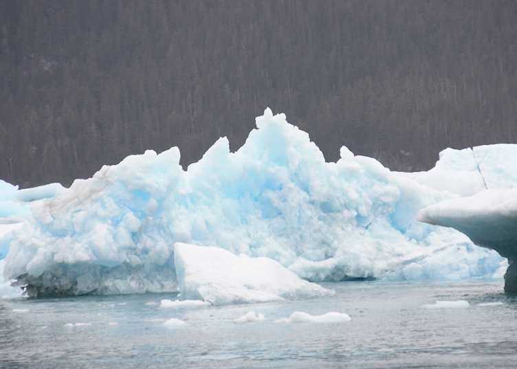 Icebergs in Prince William Sound