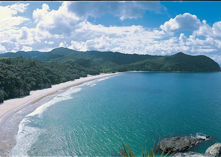 Coromandel Peninsula, New Zealand