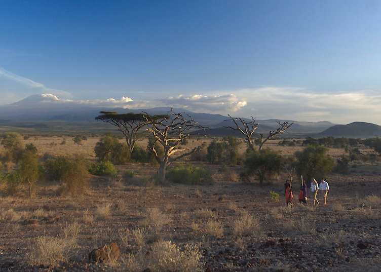 Walking safari in West Kilimanjaro