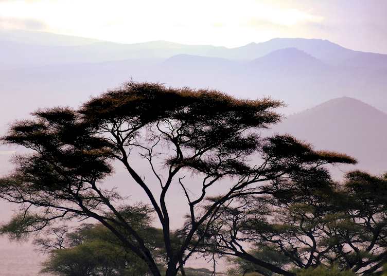 West Kilimanjaro, Tanzania
