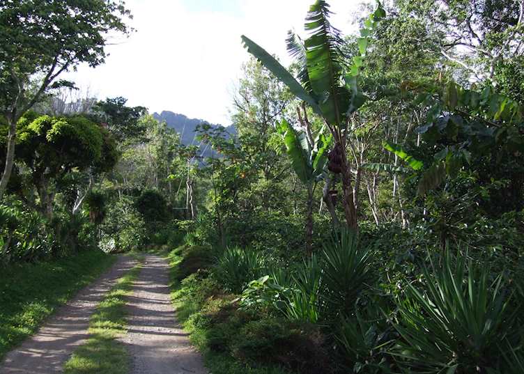 Beautiful grounds at La Selva Negra