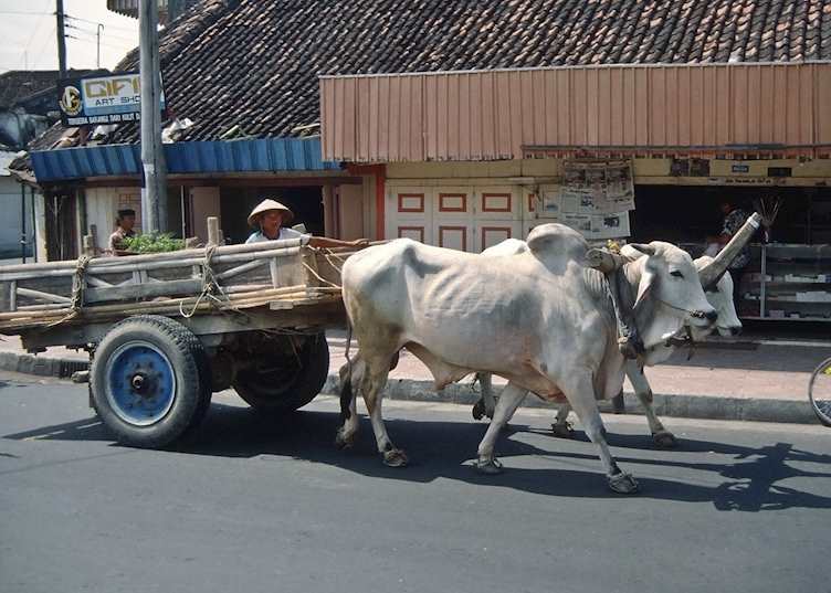 Surabaya, Indonesia