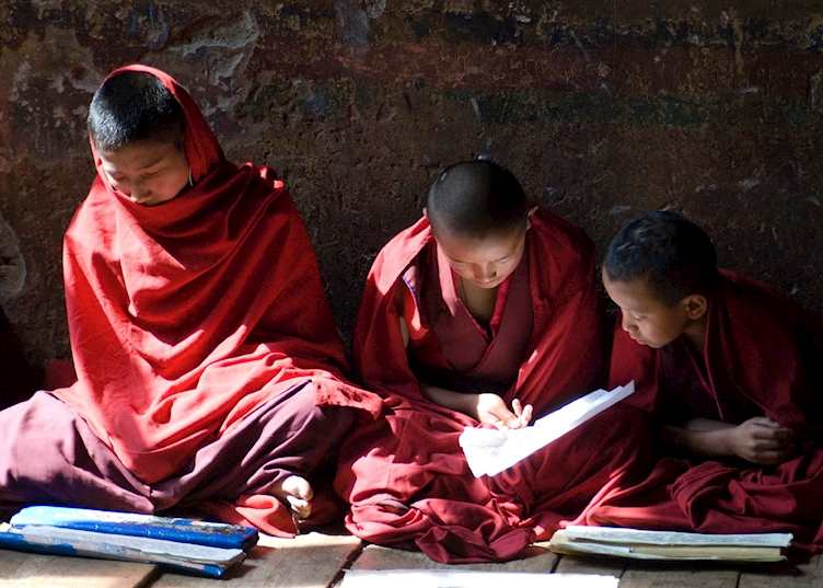 Monks studying, Punakha