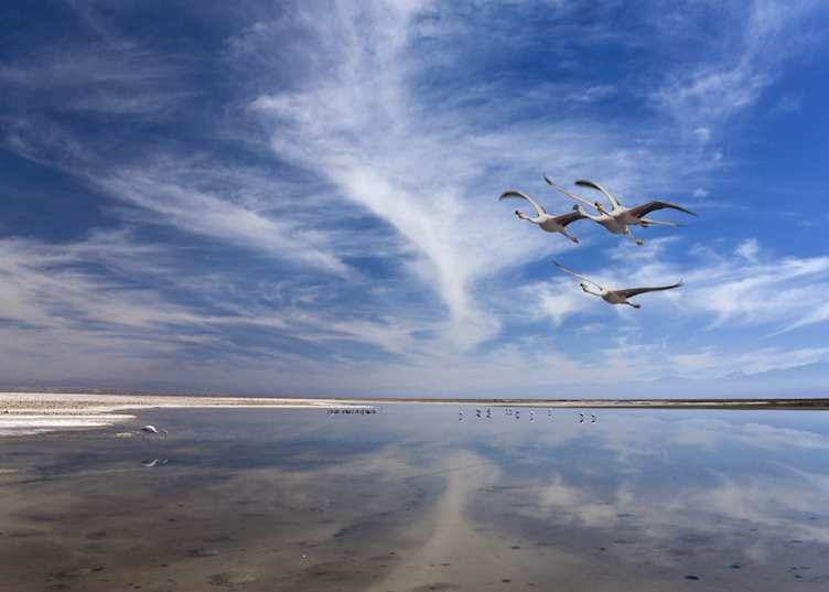 The Atacama, Chile