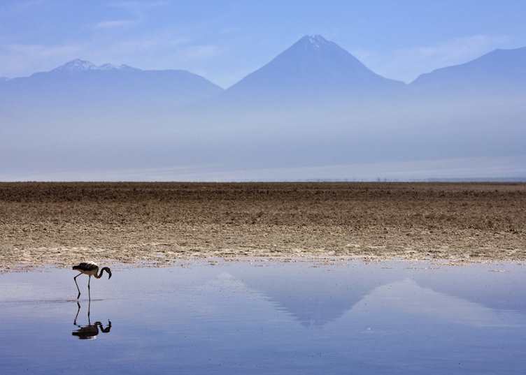 The Atacama, Chile