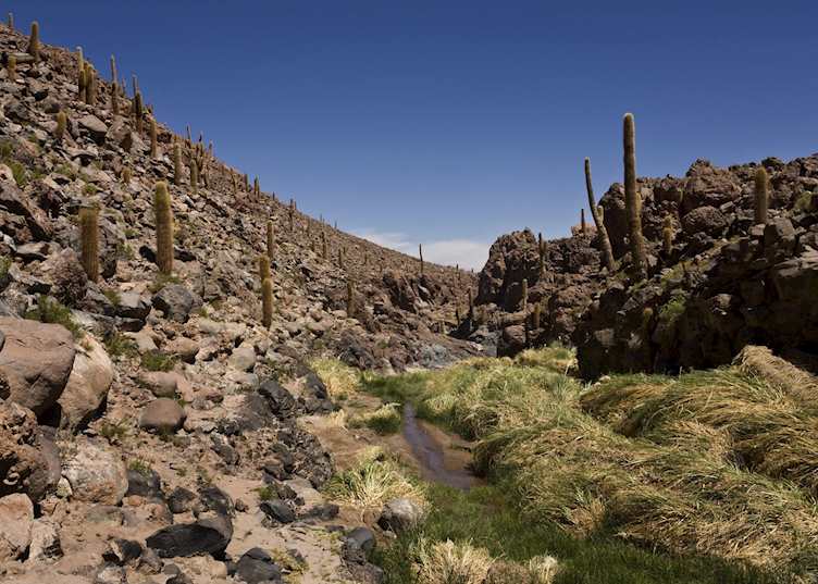 The Atacama, Chile