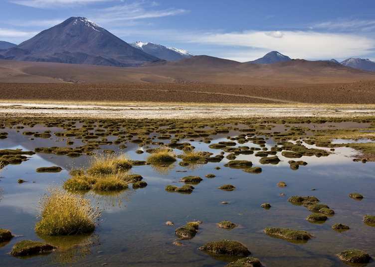 The Atacama, Chile