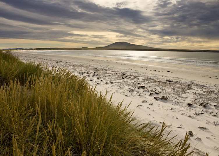 Pebble Island, The Falkland Islands