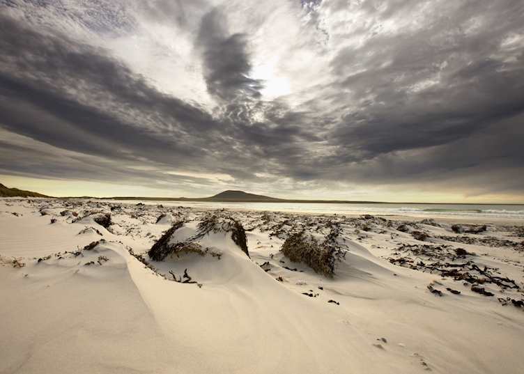 Pebble Island, The Falkland Islands