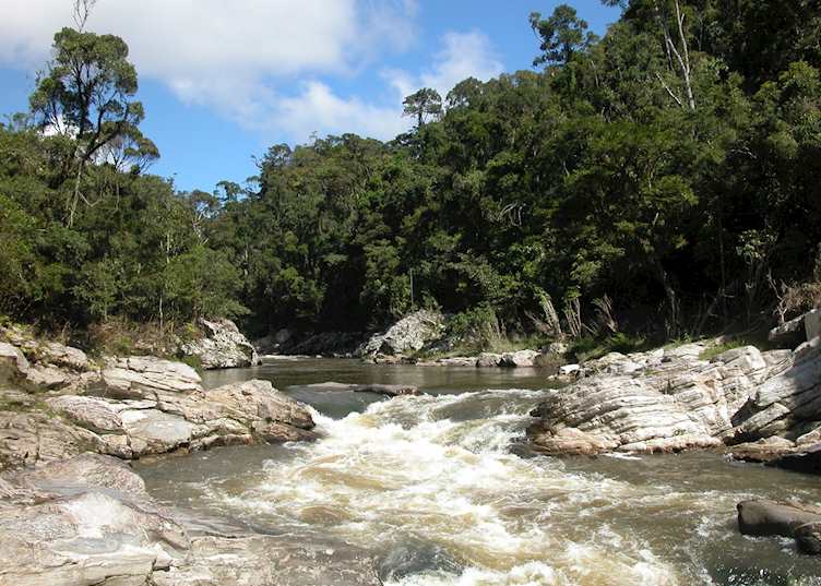 Ranomafana National Park, Madagascar