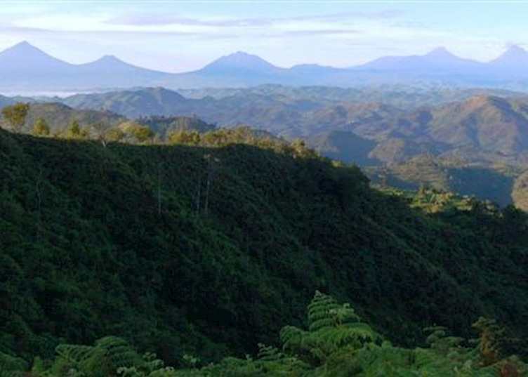 View from Clouds Mountain Gorilla Lodge