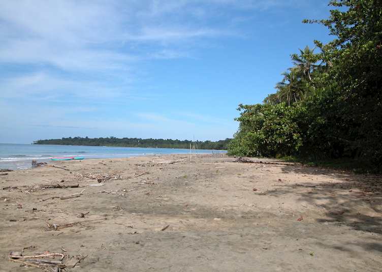 Beach at Almonds & Corals, Manzanillo