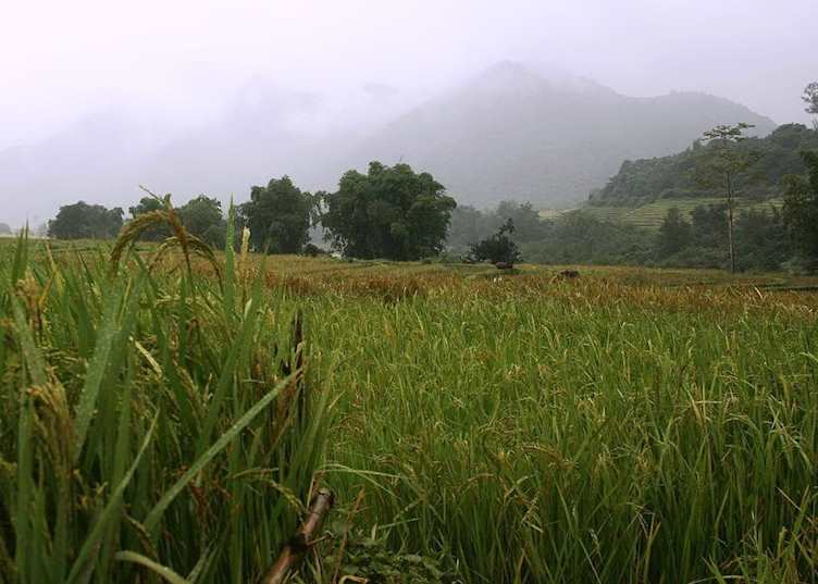 Houaphanh scenery