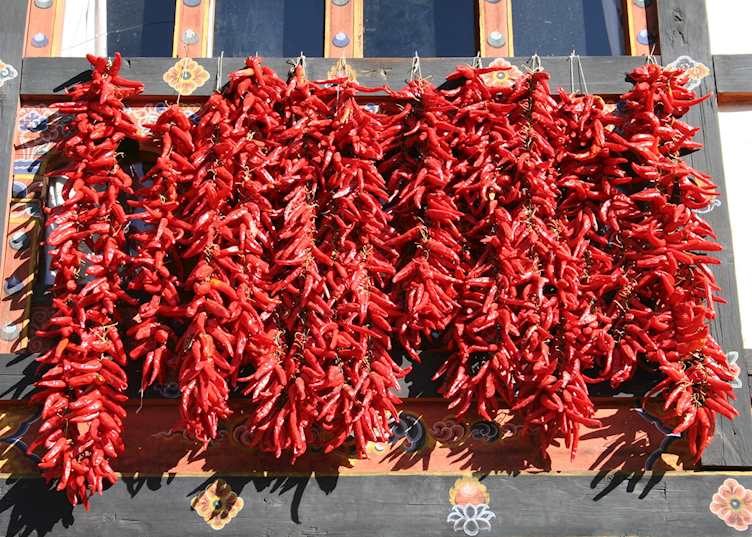 Drying chillis, Paro