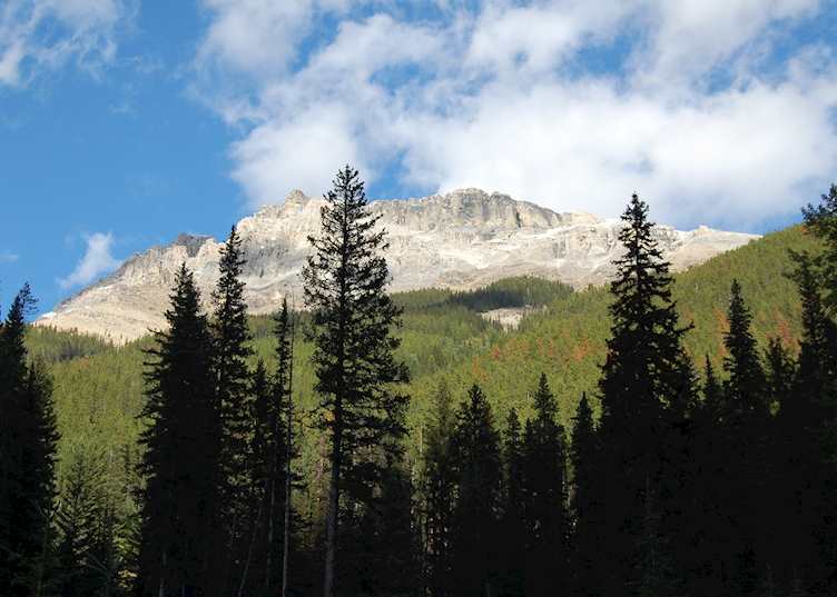 Hiking in the Kootenay National Park