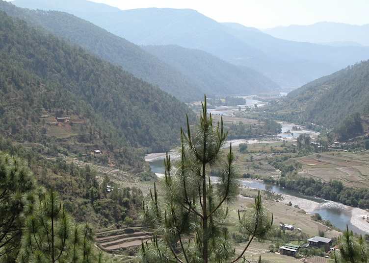 Punakha Valley