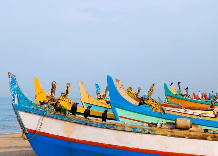 Fishing boats, Kovalam, India