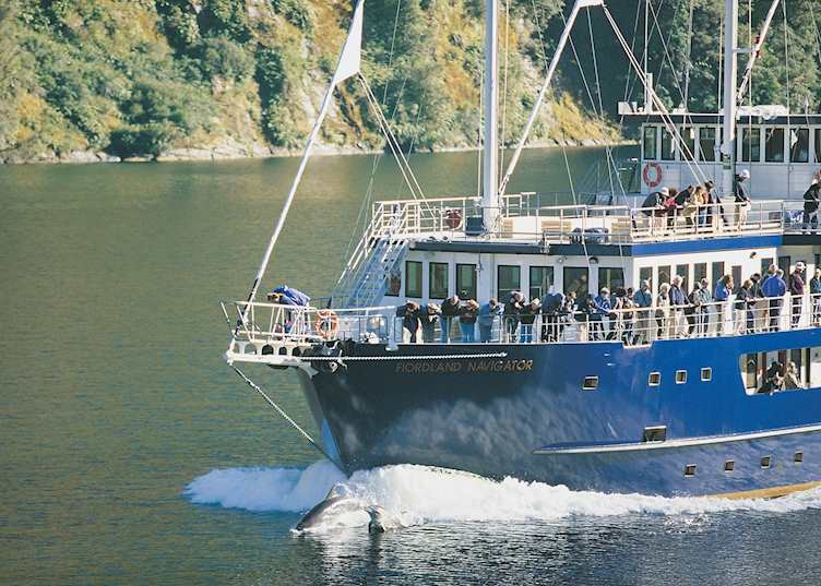 Doubtful Sound, Fiordland