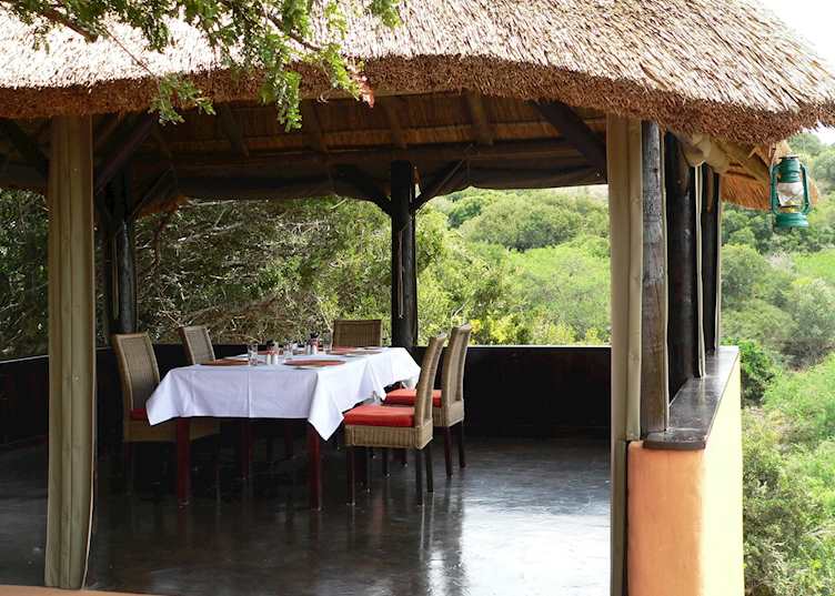 Amakhala Safari Lodge