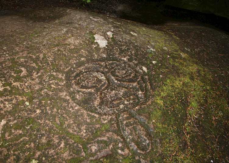 Petroglyph in the old growth rainforest at Bella Coola
