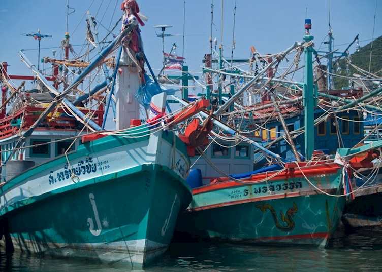 Shrimp boats in the harbour