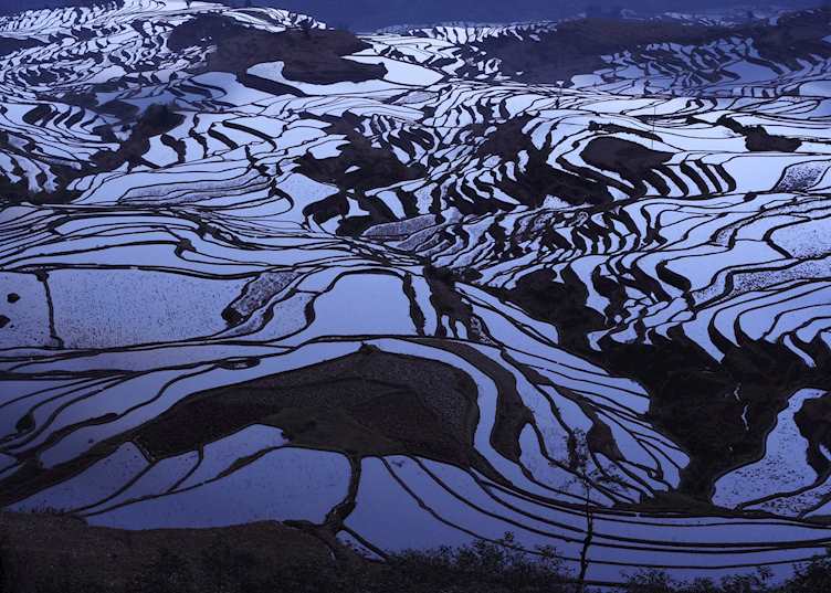 Rice terraces, Yuanyang