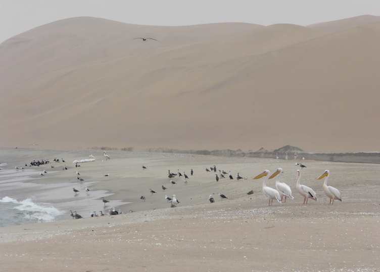 Sandwich Harbour, Namibia